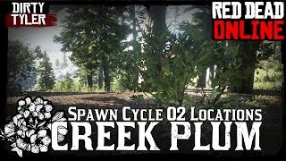 Creek Plum Locations Red Dead Online Collectors Item RDR2 Spawn Cycle 2 [upl. by Frieder]