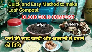 Quick and Easy Method to make Leaf Compass पत्तों की खाद जल्दी और आसानी से बनाने की विधि [upl. by Dian]