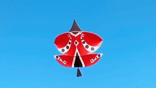 rawalpindi basant mashup 2024 some big kites trending [upl. by Relly51]