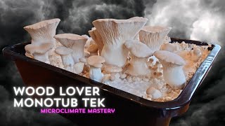 EZ WOOD LOVER MONOTUB TEK Microclimate Mastery Ft King Oyster [upl. by Eiclehc]