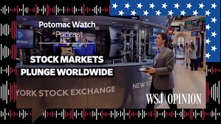 Stock Markets Plunge Worldwide [upl. by Ellimac]