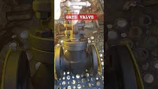 Gate valve [upl. by Orodoet832]