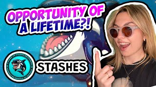 Stashes Review  Learn how to Become a Web 3 Whale TODAY [upl. by Eytak990]