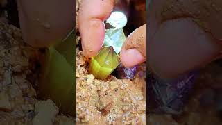 Full video on homepagegems agatecrystalgoldGemsdiamondsgold minesemeralds pearl [upl. by Oiralih]