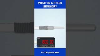 What is a PT100 Sensor And How do They Work [upl. by Nnaeitak67]