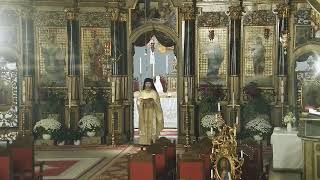 Episcopia GrecoCatolică de Oradea Live Stream [upl. by Eirehs680]