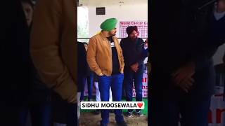 Today The Best Songs Sidhu Moose Wala Viral Shorts [upl. by Marissa123]