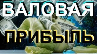 ПРИБЫЛЬ и Валовый доход в чем разница [upl. by Epolulot]