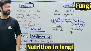 Nutrition in fungi  Saprophytic Parasitic And Predator Fungi  Class 11 Biology [upl. by Rockwood402]