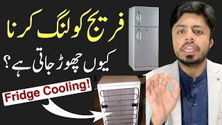 Fridge Cooling Problems Causes and Cautions  Refrigerator Not Cooling [upl. by Guglielma]