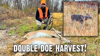 Double Doe Harvest with the Winchester [upl. by Petrie]