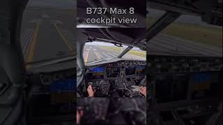 B737 Max 8 cockpit view [upl. by Giglio448]