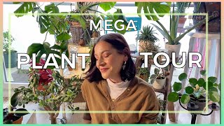 MÉGA PLANTES TOUR 🌱  Ma Philosophie [upl. by Renata797]