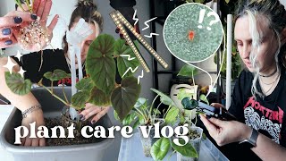 checking for pests setting up grow lights amp potting up props 🪴 Plant Chores Vlog [upl. by Airretal]