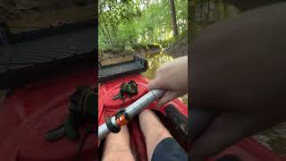 Exploring A Side Stream On The Kanawha River kayaking explore adventure [upl. by Eldwen]