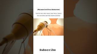 Life cycle of malaria 🦟 biology pathology malaria onlineclasses chemistry viral shorts bmw [upl. by Centonze266]