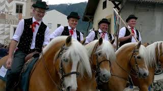 Haflinger Festival Schluderns 2024 [upl. by Patnode]