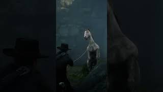 RDR2 LEGENDARY Hoses Location rdr2 shorts [upl. by Shinberg258]