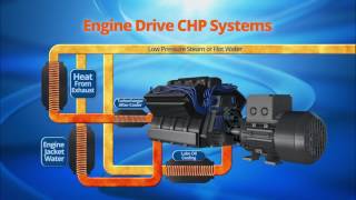 CHP Engines [upl. by Thier]