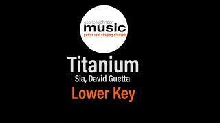 Titanium  Low Key Piano Karaoke  Lyric Video [upl. by Yhtomiht]