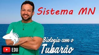 Sistema MN  Genética  Biologia com o Tubarão [upl. by Addiel132]