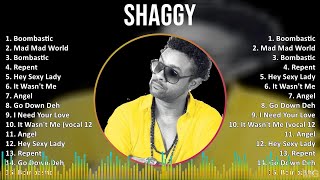 Shaggy 2024 MIX Best Songs  Boombastic Mad Mad World Bombastic Repent [upl. by Mcgraw]