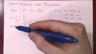 Matrices and Polynomials [upl. by Linea]