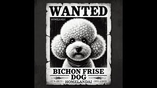 Bichon Frise The Ultimate Guide to the Worlds Most Joyous Dog bichonfrise doglover dogs [upl. by Ausoj]