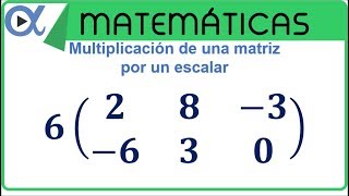 Multiplicación de una matriz por un escalar [upl. by Allehcim459]