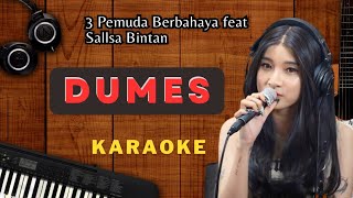 Dumes  3 Pemuda Berbahaya feat Sallsa Bintan Karaoke  No Vocal  High Quality [upl. by Eugenle754]