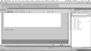 Adobe Dreamweaver CC Tutorial  Adding Radio Buttons And Checkboxes [upl. by Roper]