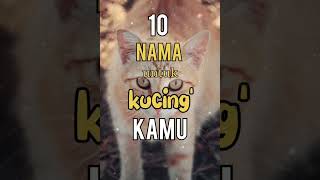 Nama Kucing yang Bagus  kucing lucu shorts [upl. by Fredkin174]