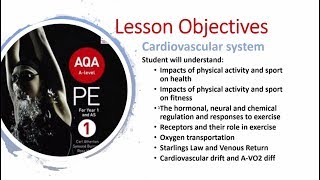 Cardiovascular System Lesson A Level PE  Part 2 [upl. by Bordy]