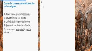 Exercices  Entrainement  Niveau 1  Classes grammaticales variables [upl. by Llertnad]