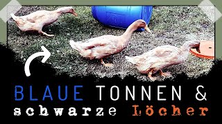 20220724 – Die blaue Tonne mit dem roten Deckel [upl. by Origra371]