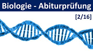 Biologie Abiturprüfung 2025  Tipps und Aufgabentypen 22  Abitur Biologie 216 [upl. by Phi864]