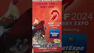 IGF 2024 Announcement gamefowl internationalgamefowl gamefowlbreeder [upl. by Claybourne297]