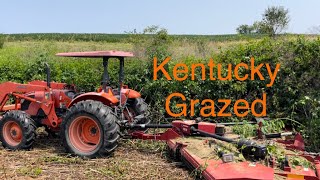 Mowing Briars and Reestablishing Pasture on the New Farm [upl. by Hugibert488]