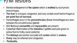 Avian intestinal spirochetosis part 1R [upl. by Latoyia]