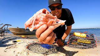 24 HOUR  No Food Challenge  SOLO CAMPING  CATCH AND COOK in Perth city [upl. by Clougher]