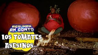 LOS TOMATES ASESINOS El ataque de los tomates asesinos Resumen En Corto [upl. by Viddah]