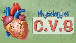 Easy Physiology  CVS  ECG 1Introduction amp ECG Leads [upl. by Aterg]