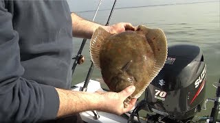 Fishing for Flatfish  Rigs Tips amp Tactics  CATCH MORE FISH [upl. by Corissa]