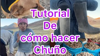 Tutorial de cómo hacer ch’uño 🥶❄️ [upl. by Harpole44]