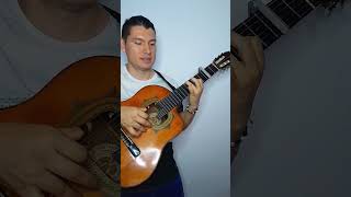 Gema  Los Dandys requinto youtubeshorts musicaromantica [upl. by Lyrahc]