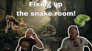 Feeding snakes and making changes to the snake room with westbayreptiles [upl. by Sirtimed]