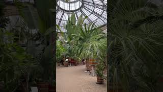 Amsterdam Hortus Botanicus Plants 4K HD amsterdam botanicus calmdown plants fyp [upl. by Clothilde]