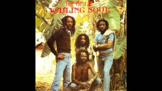 The Wailing Souls  Jah Jah Give Us Life To Live [upl. by Inaja470]