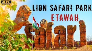 Etawa lion safari trip quot ख़तरनाक तदुओ से मुलाक़ात quot [upl. by Aicilf]