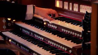 LUDWIG VAN BEETHOVEN MOONLIGHT SONATA  XAVER VARNUS ORGAN [upl. by Yde]